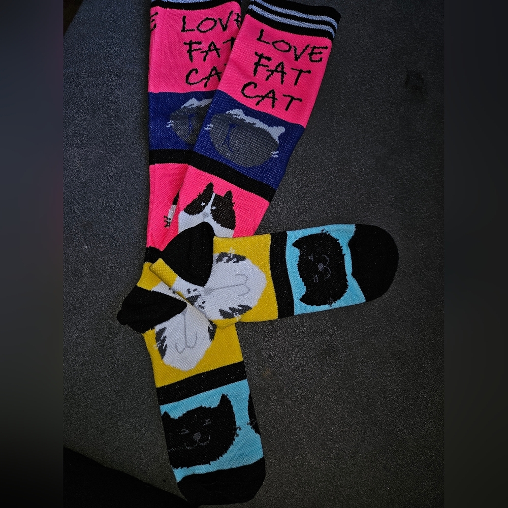 Love Fat Cats knee high socks